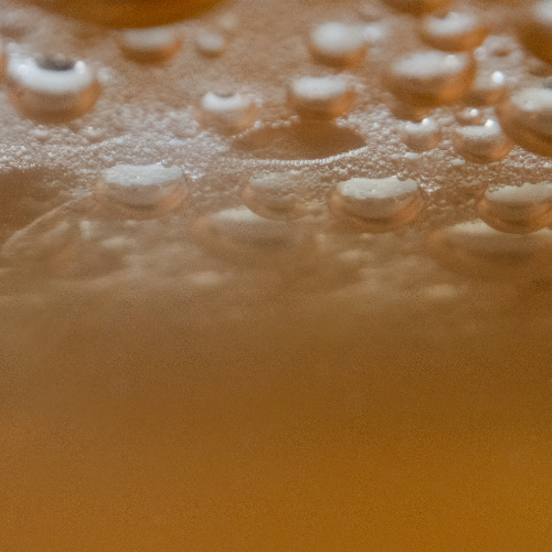 Kombucha Skincare Sollmar