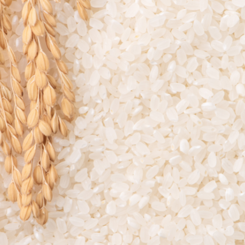 Rice Skincare Sollmar