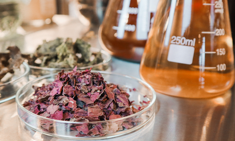 Ocean Ferment Complex