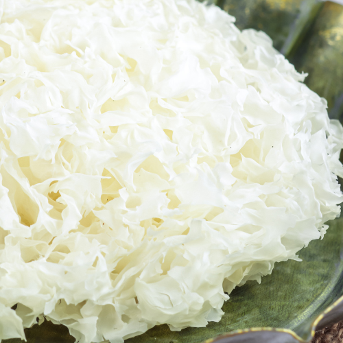 Snow Mushroom Skincare Sollmar 